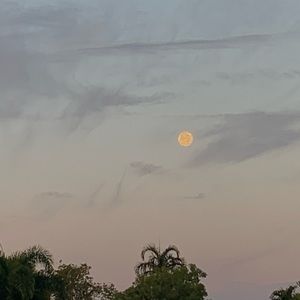 Meet your Posher, Sabrina